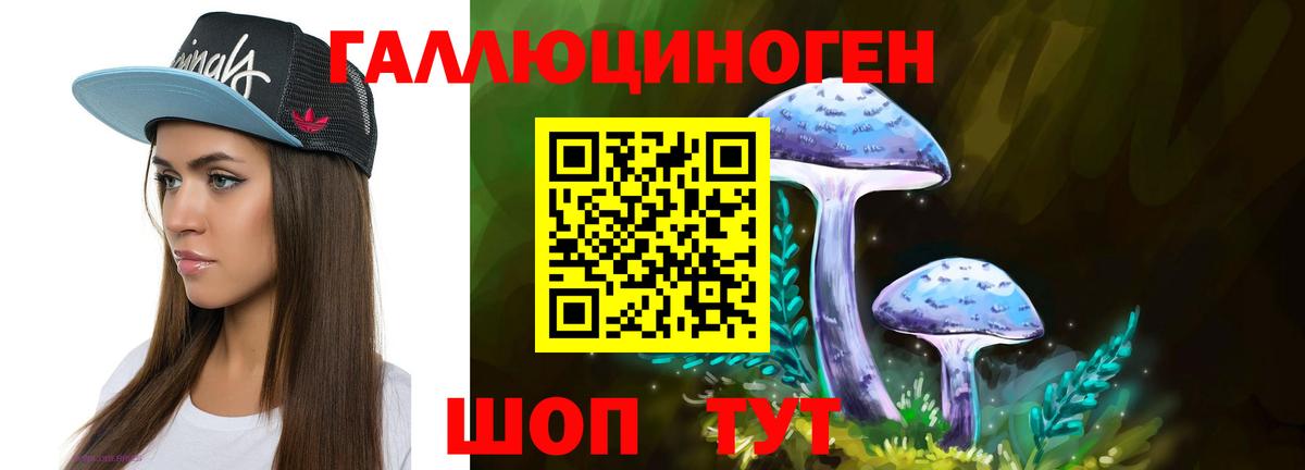 Дедовск  Галлюциногенные грибы мухоморы  Вход с VPN  Псилоцибиновые грибы Psilocybine cubensis 